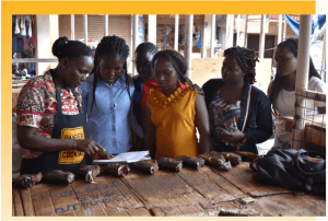 FOWODE NEWSLETTER Q3 2022