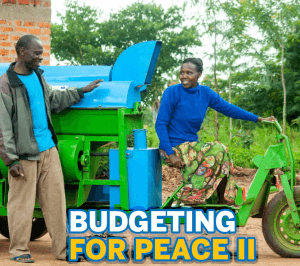 Budgeting for Peace II